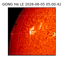 gong - 2026-06-05T05:00:42
