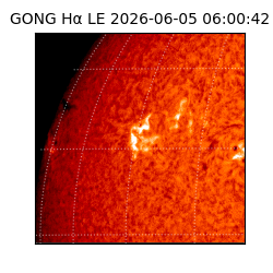 gong - 2026-06-05T06:00:42