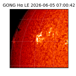 gong - 2026-06-05T07:00:42