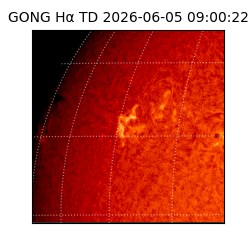 gong - 2026-06-05T09:00:22