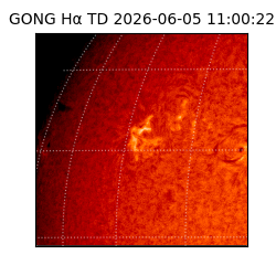 gong - 2026-06-05T11:00:22