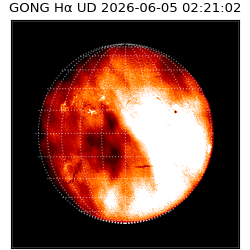 gong - 2026-06-05T02:21:02