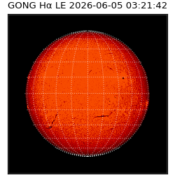 gong - 2026-06-05T03:21:42