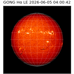 gong - 2026-06-05T04:00:42