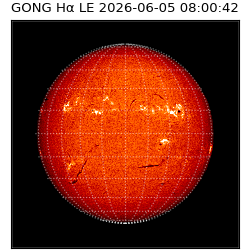 gong - 2026-06-05T08:00:42