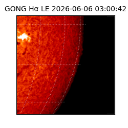 gong - 2026-06-06T03:00:42
