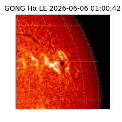 gong - 2026-06-06T01:00:42