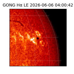 gong - 2026-06-06T04:00:42