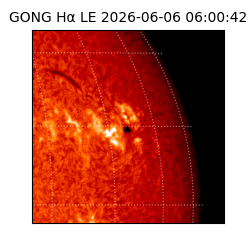 gong - 2026-06-06T06:00:42