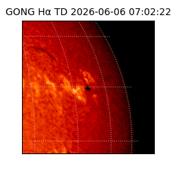 gong - 2026-06-06T07:02:22