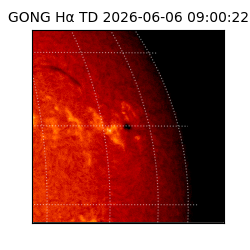 gong - 2026-06-06T09:00:22