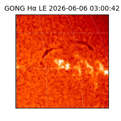 gong - 2026-06-06T03:00:42