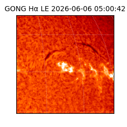 gong - 2026-06-06T05:00:42