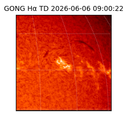 gong - 2026-06-06T09:00:22