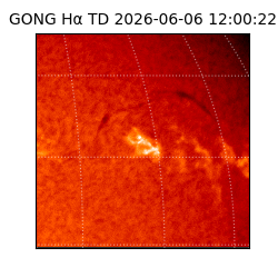 gong - 2026-06-06T12:00:22