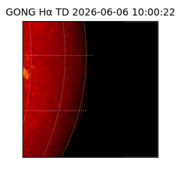 gong - 2026-06-06T10:00:22