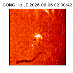 gong - 2026-06-06T02:00:42
