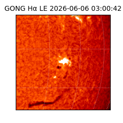 gong - 2026-06-06T03:00:42