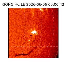 gong - 2026-06-06T05:00:42