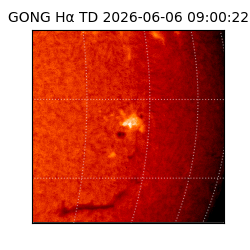 gong - 2026-06-06T09:00:22