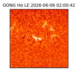 gong - 2026-06-06T02:00:42