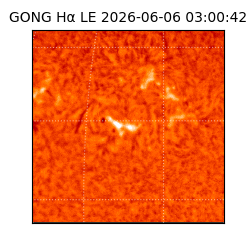 gong - 2026-06-06T03:00:42