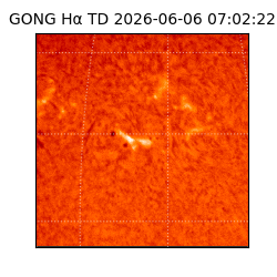 gong - 2026-06-06T07:02:22
