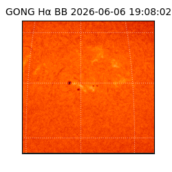 gong - 2026-06-06T19:08:02