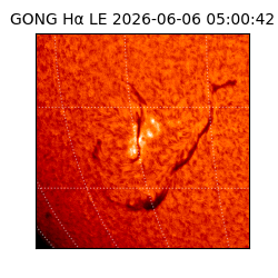gong - 2026-06-06T05:00:42