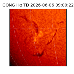 gong - 2026-06-06T09:00:22