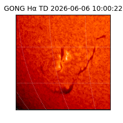 gong - 2026-06-06T10:00:22