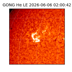 gong - 2026-06-06T02:00:42