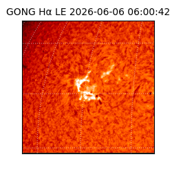 gong - 2026-06-06T06:00:42
