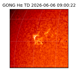 gong - 2026-06-06T09:00:22