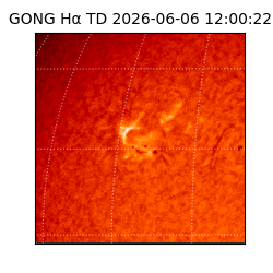 gong - 2026-06-06T12:00:22