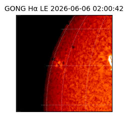 gong - 2026-06-06T02:00:42