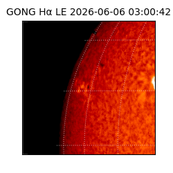 gong - 2026-06-06T03:00:42