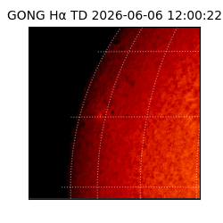 gong - 2026-06-06T12:00:22