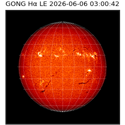 gong - 2026-06-06T03:00:42