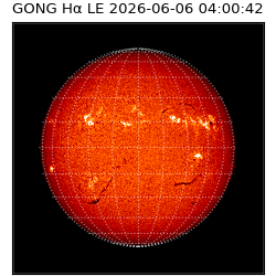 gong - 2026-06-06T04:00:42
