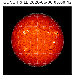 gong - 2026-06-06T05:00:42