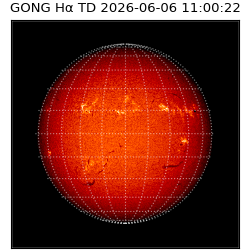 gong - 2026-06-06T11:00:22