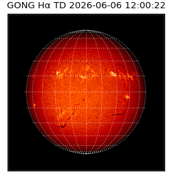 gong - 2026-06-06T12:00:22