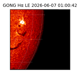 gong - 2026-06-07T01:00:42