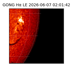 gong - 2026-06-07T02:01:42