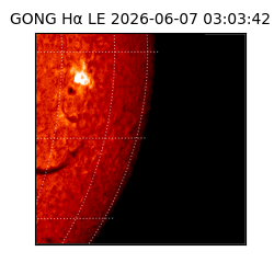 gong - 2026-06-07T03:03:42