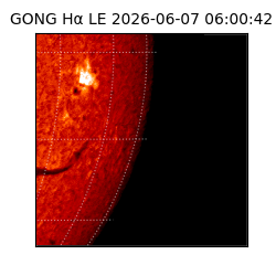 gong - 2026-06-07T06:00:42
