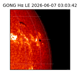 gong - 2026-06-07T03:03:42