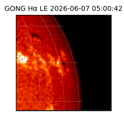 gong - 2026-06-07T05:00:42