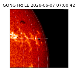 gong - 2026-06-07T07:00:42